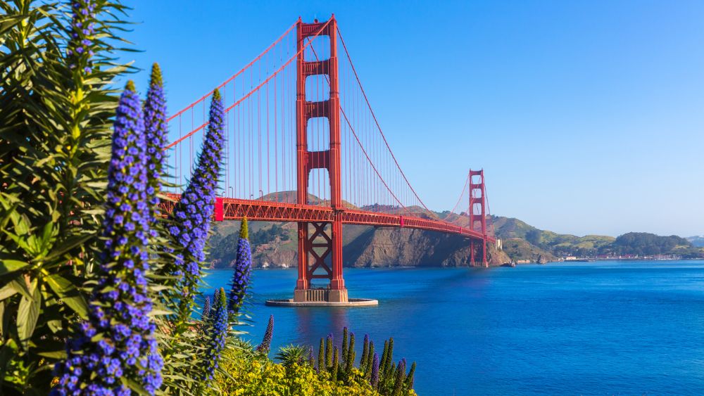 Mortgage Brokers — Hard Money Lender San Francisco